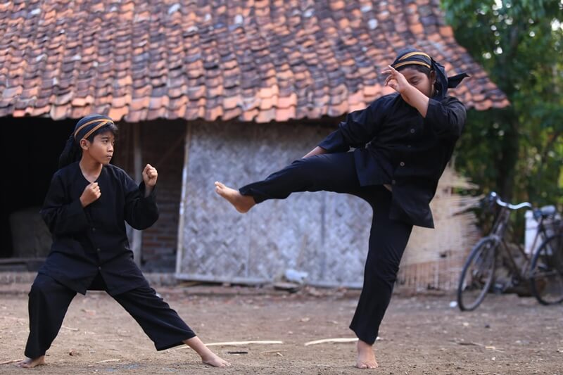 pencak silat