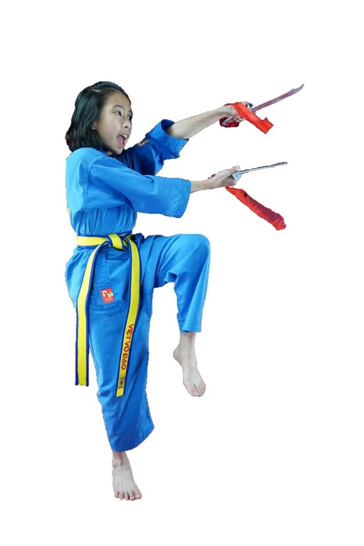 vovinam viet nam