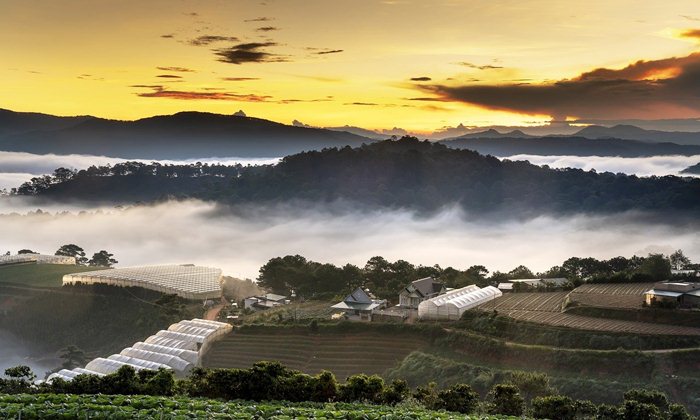 Mountainous City Dalat Vietnam