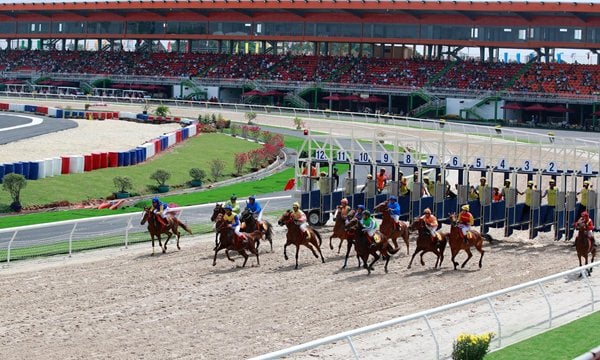 Horse Race in Dai Nam Wonderland