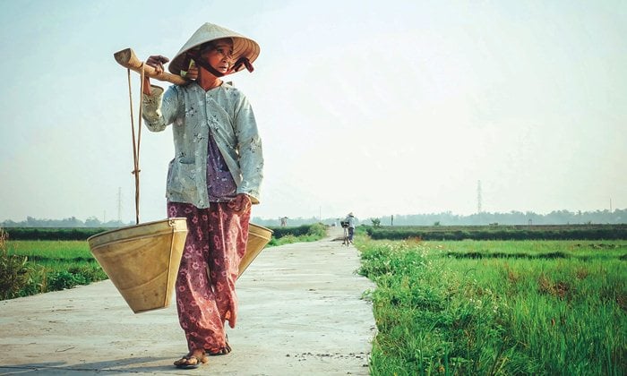 vietnamese lady