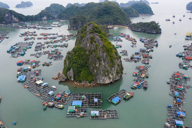 lan ha bay in vietnam