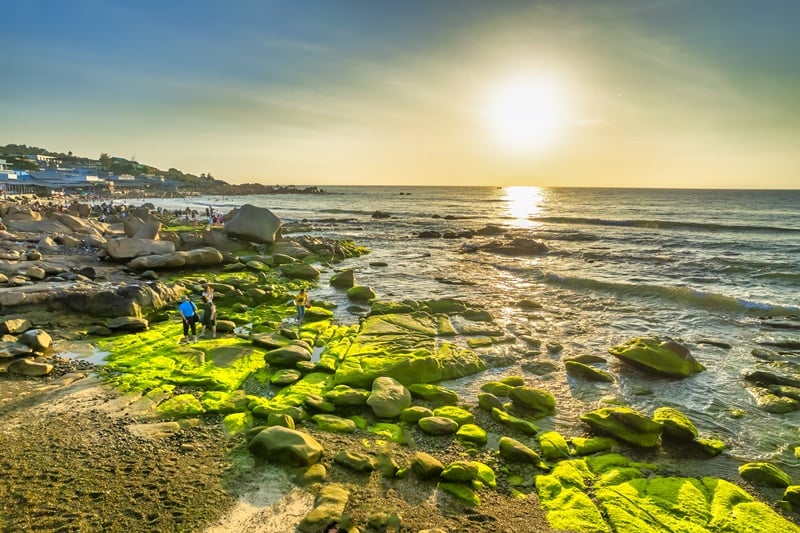 co thach beach in binh thuan