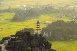 hang mua in ninh binh