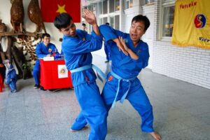 Vietnamese martial arts