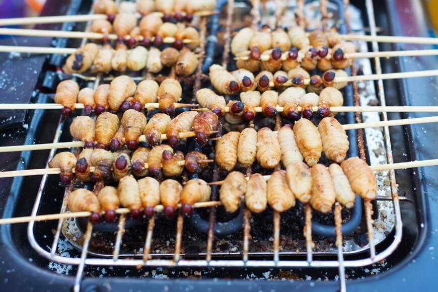 Grilled coconut worms