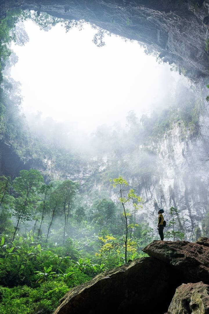 Garden in the cave