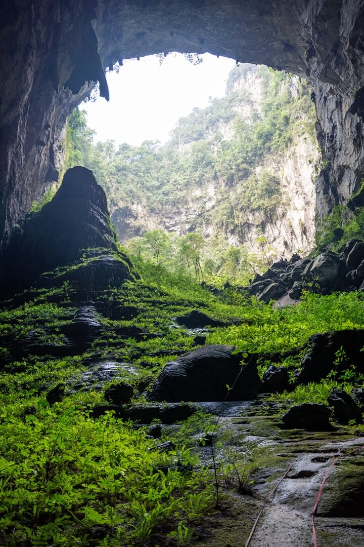 Adam garden in Son Doong