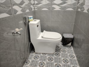 Vietnamese toilet