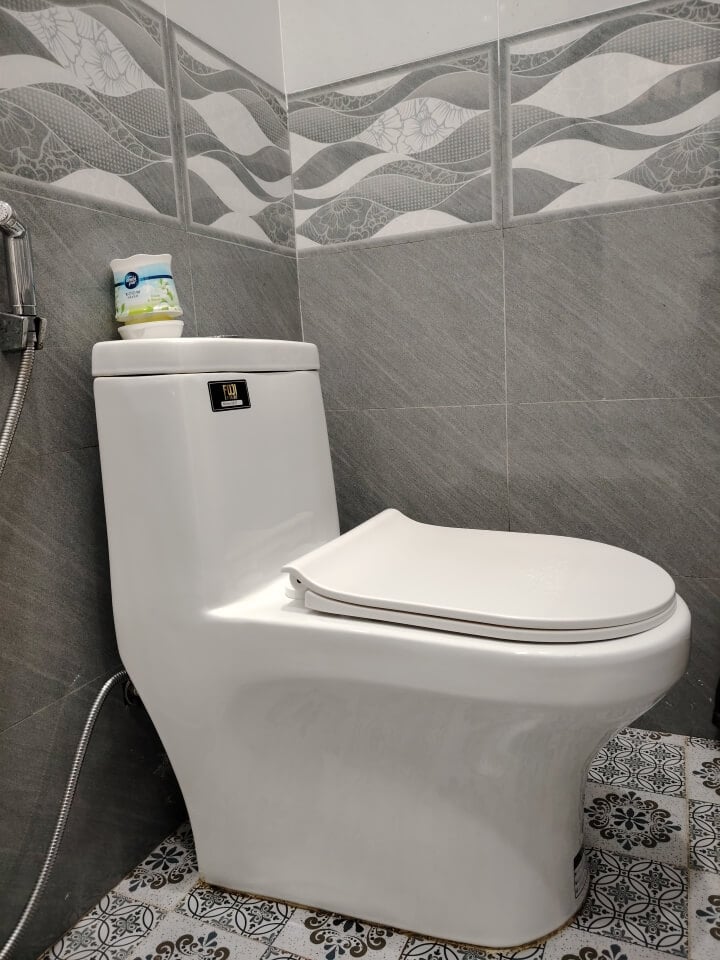 Western-style toilet